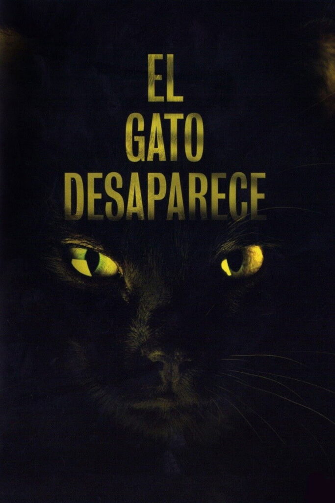 El gato desaparece (el gato desaparece)