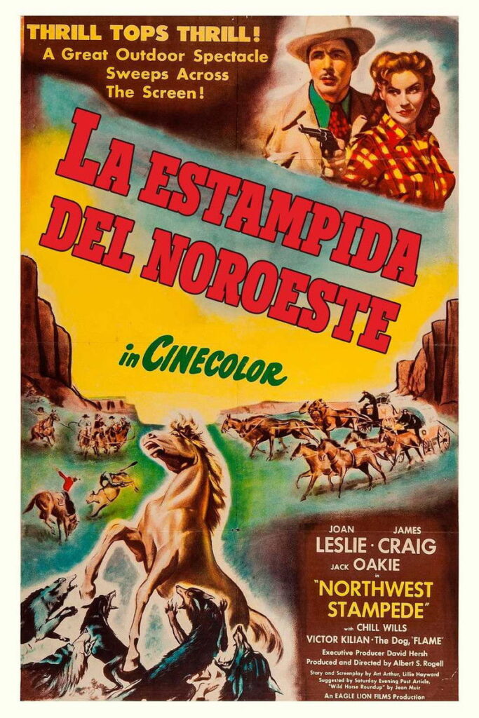 Estampida del noroeste